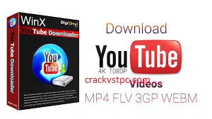 YTD Downloader Crack 5.9.18.10